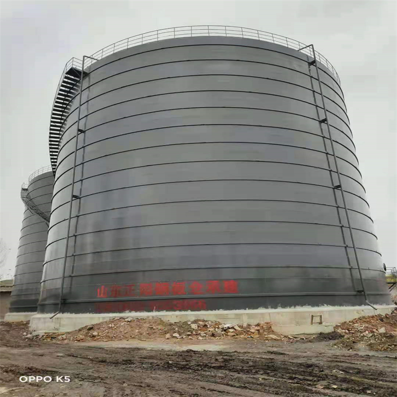 德城3万吨大型钢板库