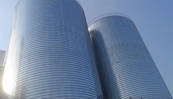 德城2座混凝土高架卷板仓